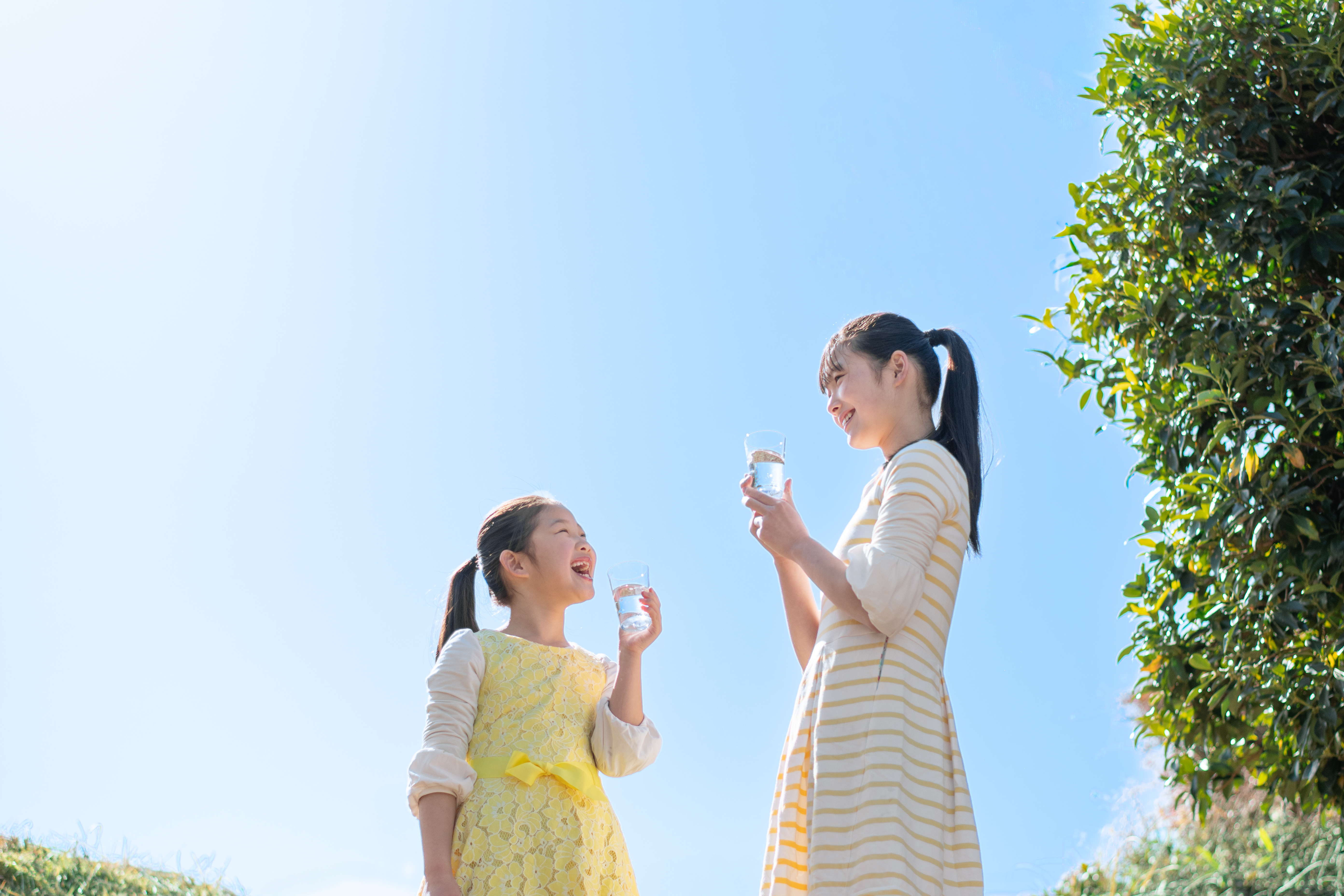 awg - 空気中の水分から飲料水を作り出す製水器