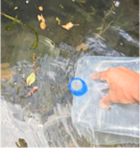 川や池で水を採取